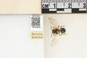 Media type: image;   Entomology 769836 Aspect: Labels